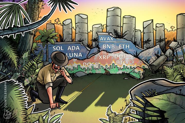 开云官网-AVAX投资陷阱真相浮出水面，已有超XRP人被骗！
